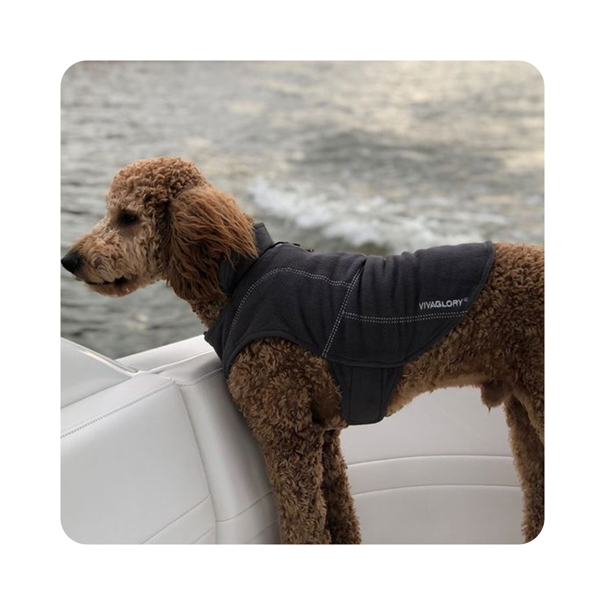 Vivaglory Fleece Vest Dog Cold Weather Sweater for Small Dogs