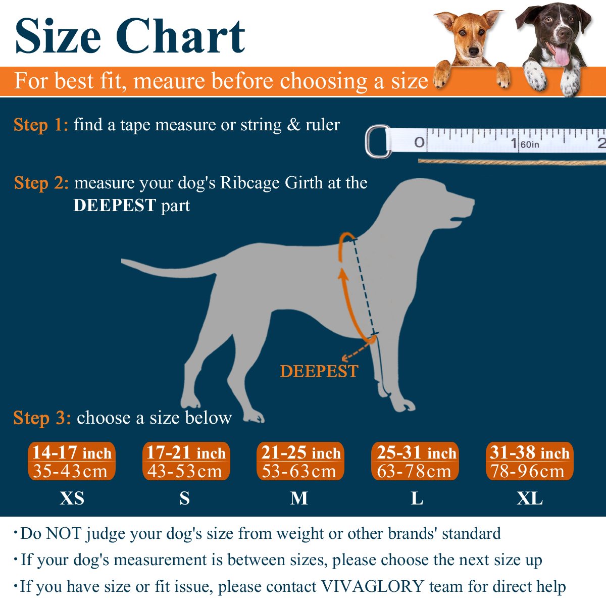 How to Measure a Dog for a Life Jacket: Easy Steps for Perfect Fit