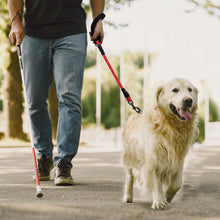 Load image into Gallery viewer, VIVAGLORY new Short Dog Leash with Comfortable Padded Handle, 18IN Durable Rope Short Walking &amp; Training Leashes for Dogs with Highly Reflective Threads for Medium &amp; Large Dog