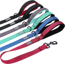 Load image into Gallery viewer, VIVAGLORY Short Dog Leash with Padded Handle, Double Webbing Nylon Reflective Pet Leashes for Training &amp; Walking, Dog Lead for Medium &amp; Large Dogs