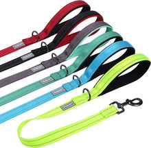 Load image into Gallery viewer, VIVAGLORY Short Dog Leash with Padded Handle, Double Webbing Nylon Reflective Pet Leashes for Training &amp; Walking, Dog Lead for Medium &amp; Large Dogs