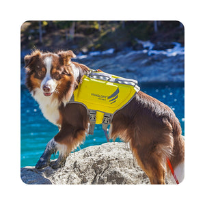 Neoprene dog life vest sales