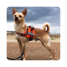 Load image into Gallery viewer, VIVAGLORY new Service Dog Vest, No Pull Dog Safety Harness with Padded Handle and Leash Clip for Comfy Control, Reflective Breathable Training Pet Vest with Removable Patches, Adjustable Fit