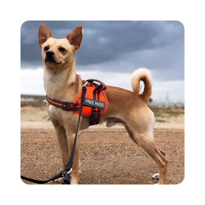 VIVAGLORY new Service Dog Vest, No Pull Dog Safety Harness with Padded Handle and Leash Clip for Comfy Control, Reflective Breathable Training Pet Vest with Removable Patches, Adjustable Fit