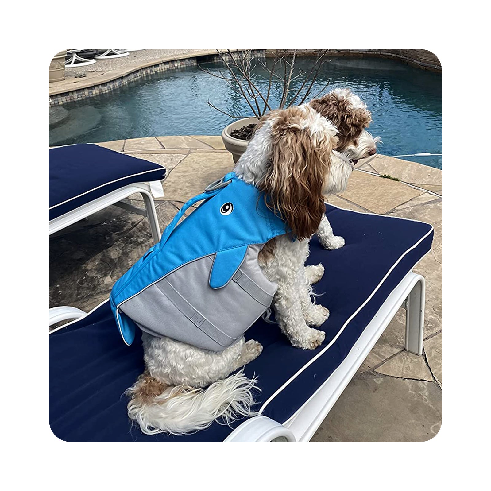 VIVAGLORY Sports Style Dog Life Jacket Reflective Life Vest with Safe