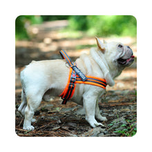 Load image into Gallery viewer, VIVAGLORY new Dog Halter Harness of Sports Style, Safer &amp; Comfortable Replacement for Collar, Easy Fit Service Dog Harness for Training &amp; Walking, Fits Small Medium and Large Dogs