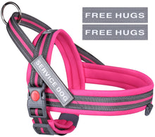 Load image into Gallery viewer, VIVAGLORY new Dog Halter Harness of Sports Style, Safer &amp; Comfortable Replacement for Collar, Easy Fit Service Dog Harness for Training &amp; Walking, Fits Small Medium and Large Dogs