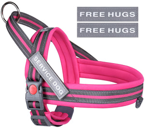 VIVAGLORY new Dog Halter Harness of Sports Style, Safer & Comfortable Replacement for Collar, Easy Fit Service Dog Harness for Training & Walking, Fits Small Medium and Large Dogs