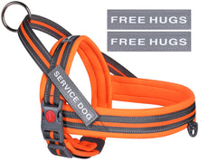 Load image into Gallery viewer, VIVAGLORY new Dog Halter Harness of Sports Style, Safer &amp; Comfortable Replacement for Collar, Easy Fit Service Dog Harness for Training &amp; Walking, Fits Small Medium and Large Dogs