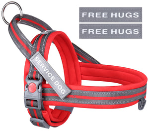 VIVAGLORY new Dog Halter Harness of Sports Style, Safer & Comfortable Replacement for Collar, Easy Fit Service Dog Harness for Training & Walking, Fits Small Medium and Large Dogs