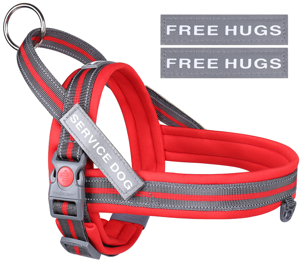 VIVAGLORY new Dog Halter Harness of Sports Style, Safer & Comfortable Replacement for Collar, Easy Fit Service Dog Harness for Training & Walking, Fits Small Medium and Large Dogs