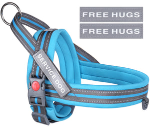 VIVAGLORY new Dog Halter Harness of Sports Style, Safer & Comfortable Replacement for Collar, Easy Fit Service Dog Harness for Training & Walking, Fits Small Medium and Large Dogs