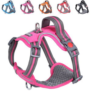 VIVAGLORY new Dog Harness for Walking, Hiking, Running & Training, No Pull Puppy Vest Harnesses with Front Hook