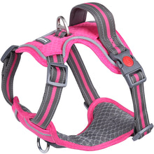 Load image into Gallery viewer, VIVAGLORY new Dog Harness for Walking, Hiking, Running &amp; Training, No Pull Puppy Vest Harnesses with Front Hook