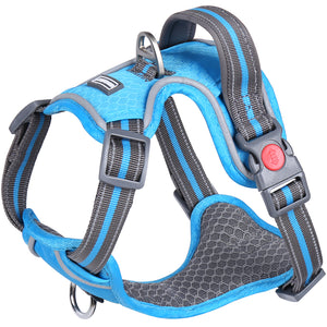VIVAGLORY new Dog Harness for Walking, Hiking, Running & Training, No Pull Puppy Vest Harnesses with Front Hook
