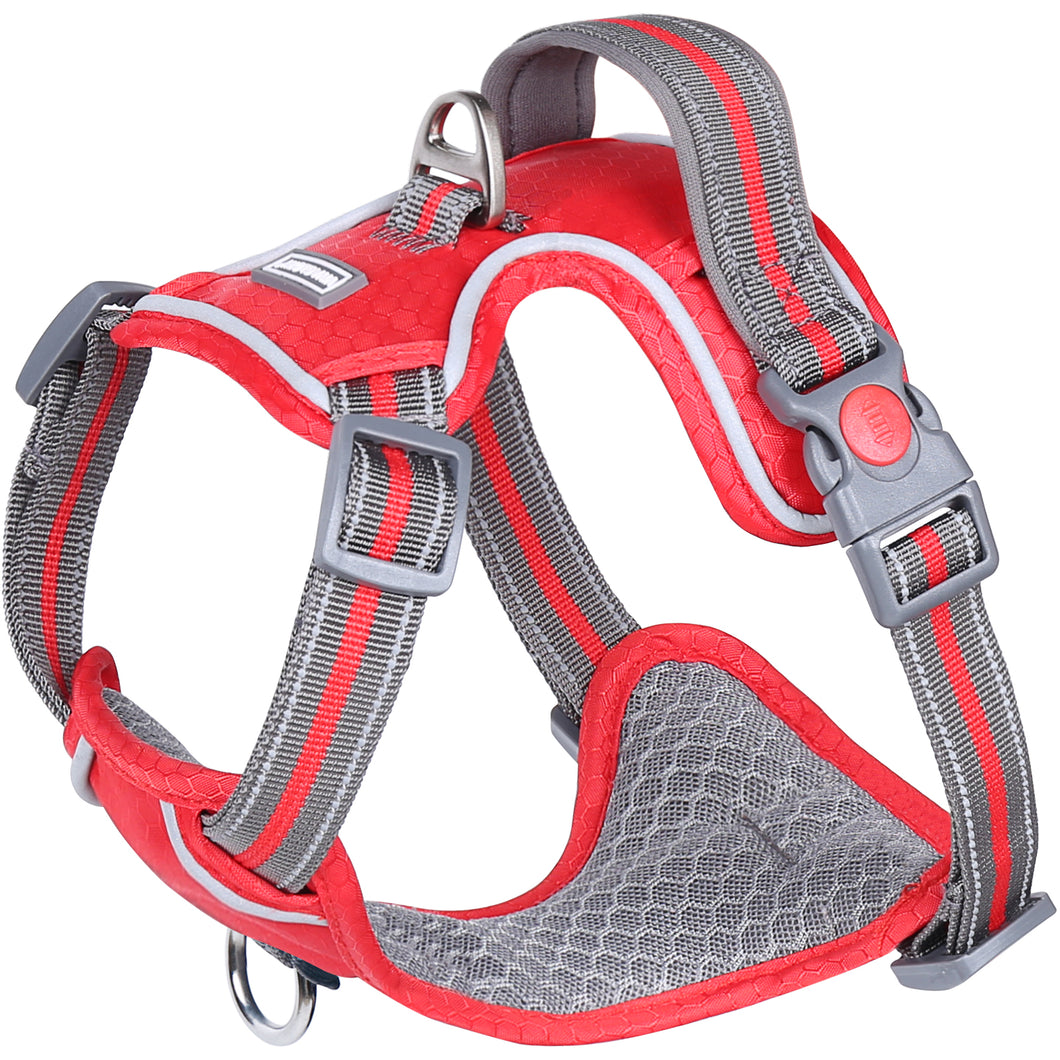 VIVAGLORY new Dog Harness for Walking, Hiking, Running & Training, No Pull Puppy Vest Harnesses with Front Hook