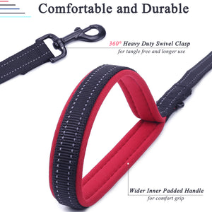VIVAGLORY Dog Leash with Padded Handle, Heavy Duty Reflective Nylon Training Leash Walking Lead for Small to Large Dogs