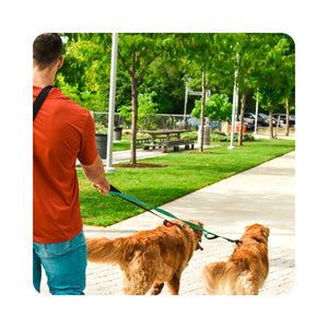 VIVAGLORY Dog Leash Traffic Padded Two Handles, Heavy Duty Reflective Leashes for Control Safety Training, Walking Lead for Small to Large Dogs