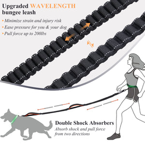 VIVAGLORY New Hands Free Dog Leash with Dual Wavelength Bungees for Medium Large Dogs, Double Handle Reflective Waist Leash for Training Running Walking