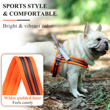 Load image into Gallery viewer, VIVAGLORY new Dog Halter Harness of Sports Style, Safer &amp; Comfortable Replacement for Collar, Easy Fit Service Dog Harness for Training &amp; Walking, Fits Small Medium and Large Dogs