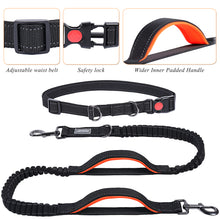 Load image into Gallery viewer, VIVAGLORY New Hands Free Dog Leash with Dual Wavelength Bungees for Medium Large Dogs, Double Handle Reflective Waist Leash for Training Running Walking