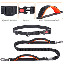 Load image into Gallery viewer, VIVAGLORY Hands Free Dog Leash with Dual Advanced Anti-Shock Bungees and Padded Handles, Reflective Waist Running Leash with Adjustable Belt for Training Jogging for Medium Large Dogs