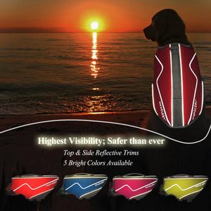 Vivaglory New Neoprene Sports Style Dog Life Jackets, Snug & Safer Dog Life Vest with Superior Buoyancy & Rescue Handle