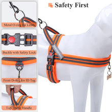 Load image into Gallery viewer, VIVAGLORY new Dog Halter Harness of Sports Style, Safer &amp; Comfortable Replacement for Collar, Easy Fit Service Dog Harness for Training &amp; Walking, Fits Small Medium and Large Dogs