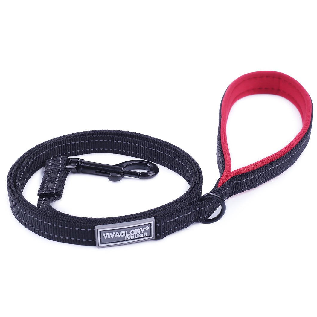 VIVAGLORY Dog Leash with Padded Handle, Heavy Duty Reflective Nylon Training Leash Walking Lead for Small to Large Dogs