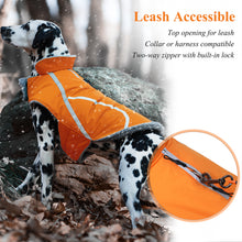 Load image into Gallery viewer, VIVAGLORY new Cold Weather Dogs Coat, Reflective Warm Fleece Lined Winter Puppy Jacket Cloth, Windproof Water Resistant Comfortable Cozy Pet Apparel