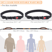 Load image into Gallery viewer, VIVAGLORY Hands Free Dog Leash with Dual Advanced Anti-Shock Bungees and Padded Handles, Reflective Waist Running Leash with Adjustable Belt for Training Jogging for Medium Large Dogs