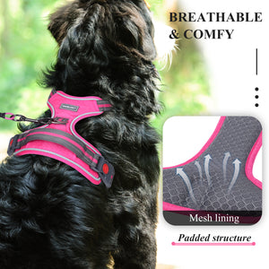 VIVAGLORY new Dog Harness for Walking, Hiking, Running & Training, No Pull Puppy Vest Harnesses with Front Hook