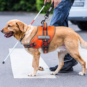 VIVAGLORY new Service Dog Harness, No Pull Adjustable Pet Vest Harness with Padded Handle, Reflective Training Vest Comfort Fit with 4 PCS Removable Patches for Small Medium Large Dogs, Easy On & Off
