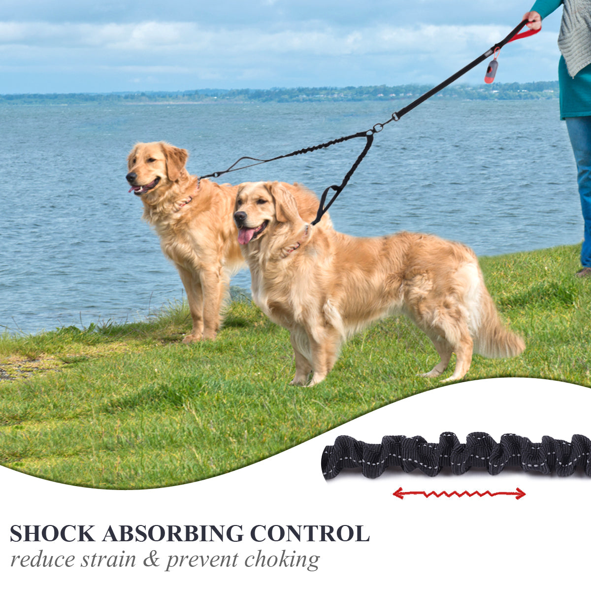 VIVAGLORY Double Dog Leash, No Pull & Tangle Free Bungee Leash for Two