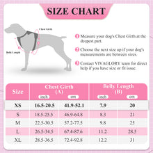 Load image into Gallery viewer, VIVAGLORY new Dog Harness for Walking, Hiking, Running &amp; Training, No Pull Puppy Vest Harnesses with Front Hook