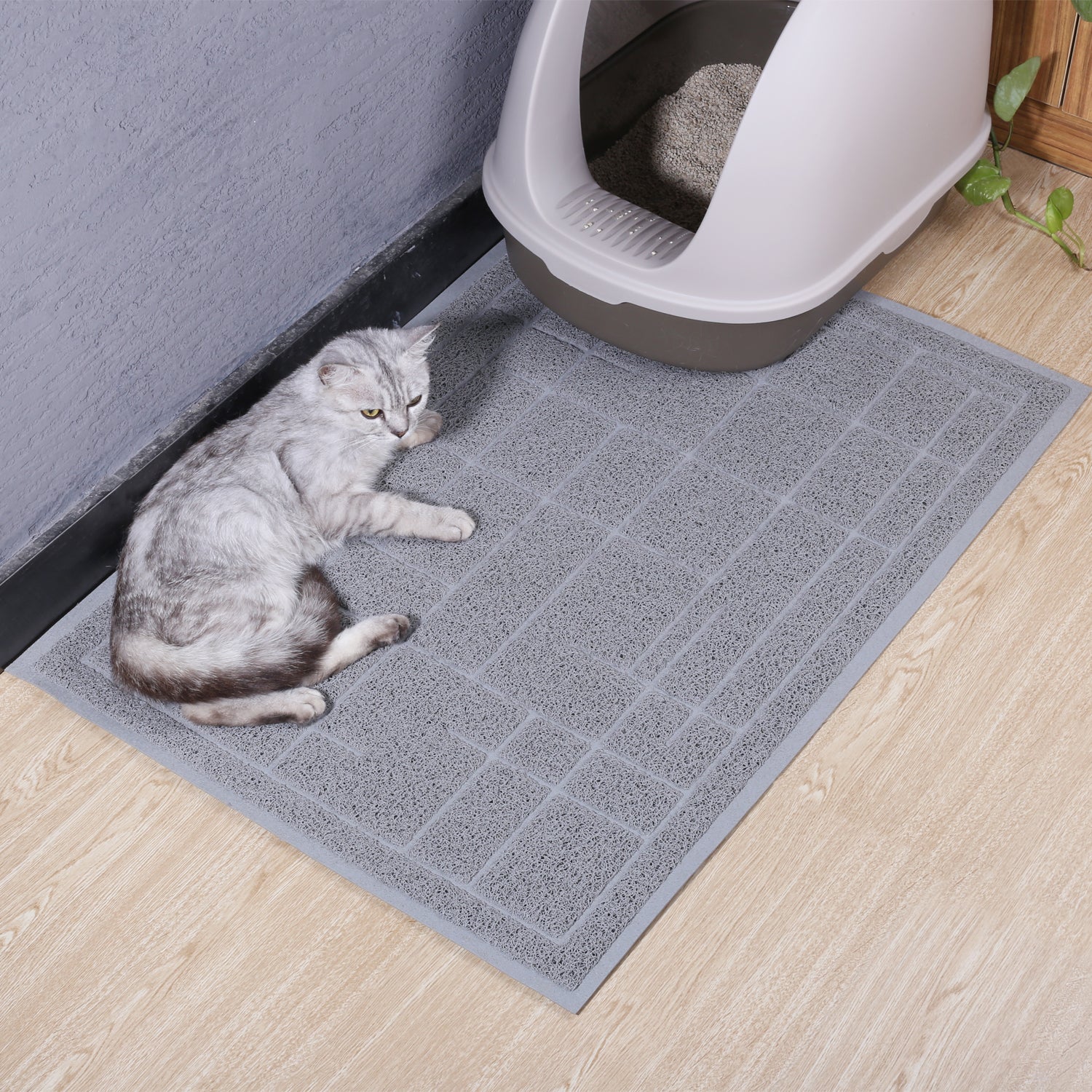 Vivaglory Cat Litter Mats, 31× 20 Large or 35× 25 Extra Large