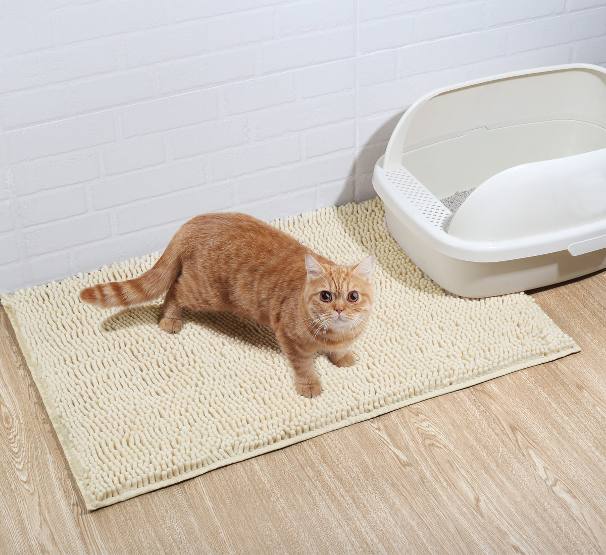 Vivaglory Cat Litter Mat, Extra Large (35×23) Durable Litter Box Mat –  VIVAGLORY