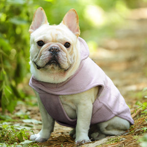 Vivaglory Fleece Vest Dog Cold Weather Sweater for Small Dogs, Adjustable Winter Warm Clothes with Two-Way Zipper Opening, Reflective Coats Pet Jacket for Puppies Small Medium Large Dogs