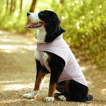 Load image into Gallery viewer, Vivaglory Fleece Vest Dog Cold Weather Sweater for Small Dogs, Adjustable Winter Warm Clothes with Two-Way Zipper Opening, Reflective Coats Pet Jacket for Puppies Small Medium Large Dogs