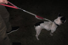 Load image into Gallery viewer, VIVAGLORY Dog Leash Traffic Padded Two Handles, Heavy Duty Reflective Leashes for Control Safety Training, Walking Lead for Small to Large Dogs
