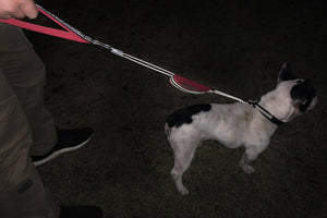 VIVAGLORY Dog Leash Traffic Padded Two Handles, Heavy Duty Reflective Leashes for Control Safety Training, Walking Lead for Small to Large Dogs