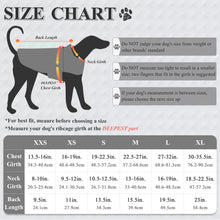 Load image into Gallery viewer, VIVAGLORY new 3-in-1 Dog Winter Coats, Reflective Water-Resistant Wind Breaker Jackets &amp; Fleece Lined Cold Weather Vest, Warm Sweater with Leash Portal, Dog Clothes for Small Medium Large Dogs