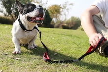 Load image into Gallery viewer, VIVAGLORY Dog Leash Traffic Padded Two Handles, Heavy Duty Reflective Leashes for Control Safety Training, Walking Lead for Small to Large Dogs