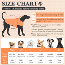 Load image into Gallery viewer, VIVAGLORY new  Dog Raincoat for Medium Dogs, Easy on &amp; Off Pet Rain Clothes with Storage Bag, Reflective Lightweight Breathable Dogs Safety Vest Jackets for Adventures, Walking, Hunting, Bright Yellow