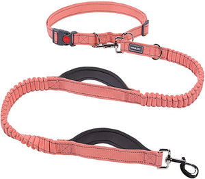 VIVAGLORY New Hands Free Dog Leash with Dual Wavelength Bungees for Medium Large Dogs, Double Handle Reflective Waist Leash for Training Running Walking