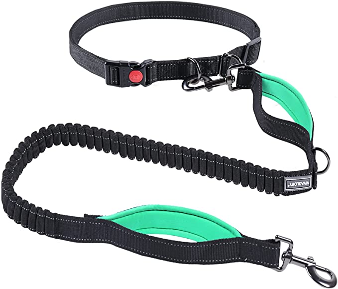 VIVAGLORY Hands Free Dog Leash with Dual Advanced Anti-Shock Bungees and Padded Handles, Reflective Waist Running Leash with Adjustable Belt for Training Jogging for Medium Large Dogs
