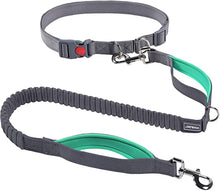 Load image into Gallery viewer, VIVAGLORY Hands Free Dog Leash with Dual Advanced Anti-Shock Bungees and Padded Handles, Reflective Waist Running Leash with Adjustable Belt for Training Jogging for Medium Large Dogs