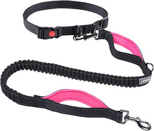 Load image into Gallery viewer, VIVAGLORY Hands Free Dog Leash with Dual Advanced Anti-Shock Bungees and Padded Handles, Reflective Waist Running Leash with Adjustable Belt for Training Jogging for Medium Large Dogs