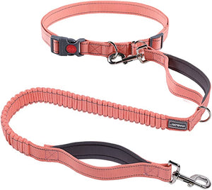 VIVAGLORY Hands Free Dog Leash with Dual Advanced Anti Shock Bungees a