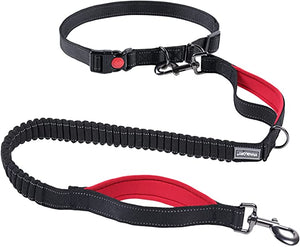 Martingale collar sales petstock